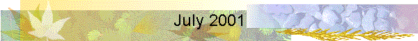 July 2001